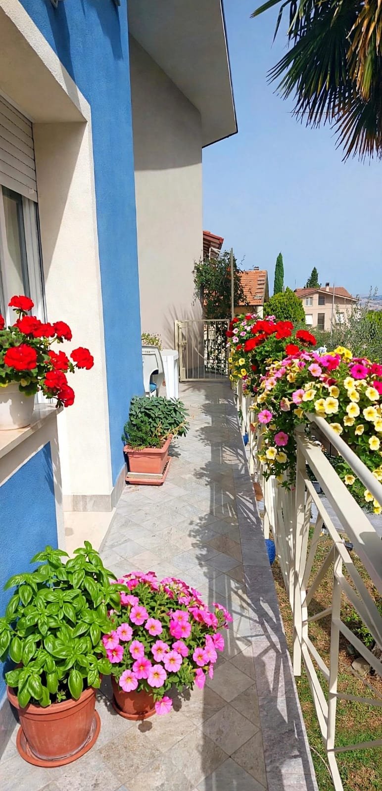 Camminamento fiorito